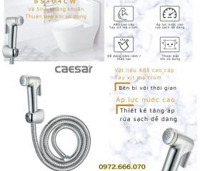 Vòi xịt xi của Caesar BS304CW